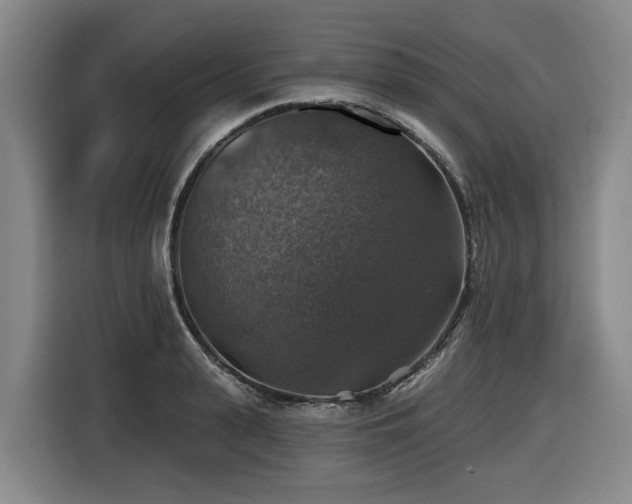 X0000116450943200912081615