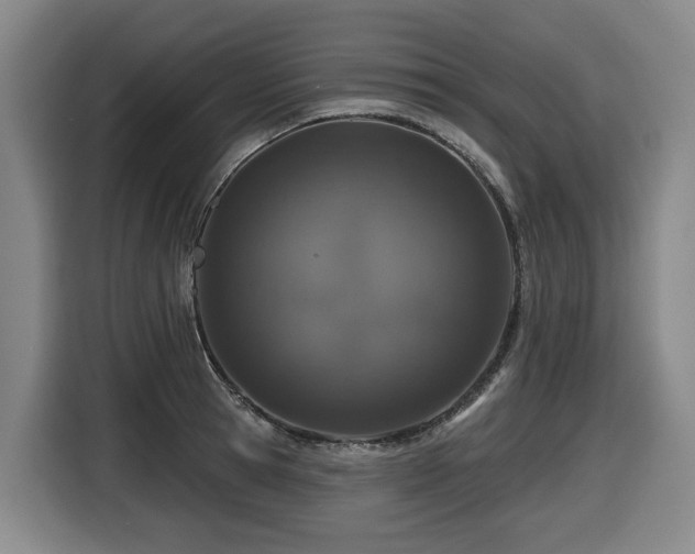 X0000116450945200912081615