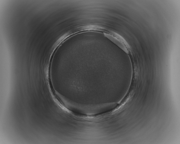 X0000116450946200912081615