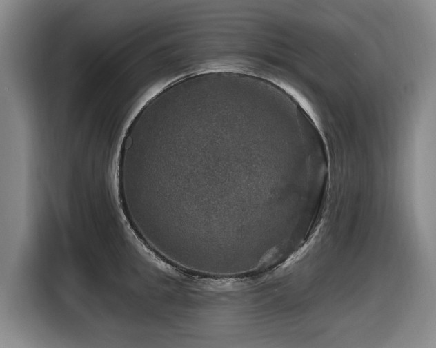 X0000116450949200912081615