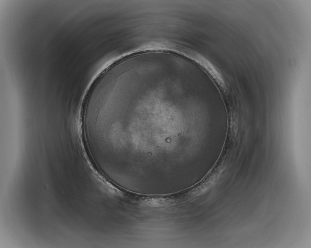 X0000116450950200912081615