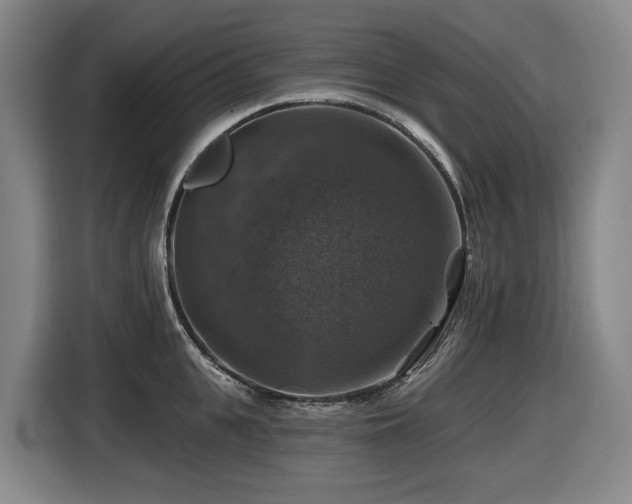 X0000116450951200912081615