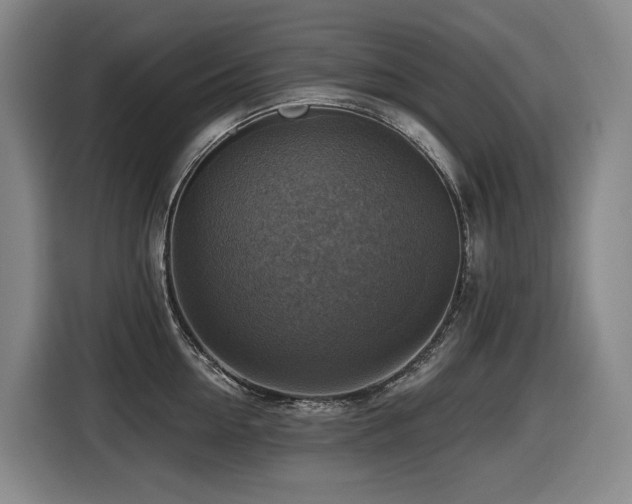 X0000116450954200912081615