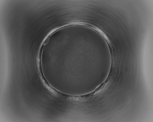 X0000116450955200912081615
