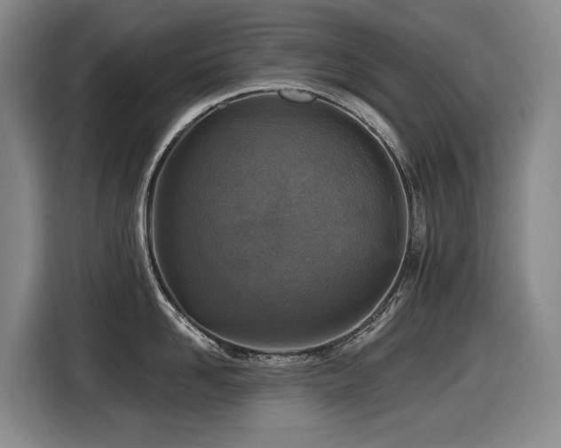 X0000116450958200912081615
