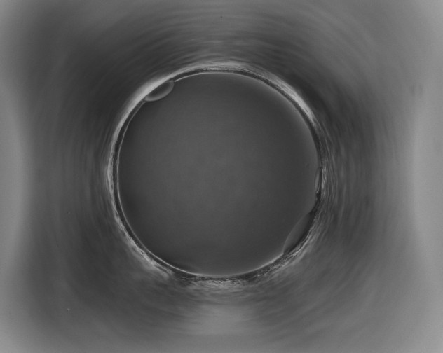 X0000116450959200912081615