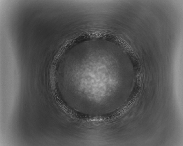 X0000116450961200912081615