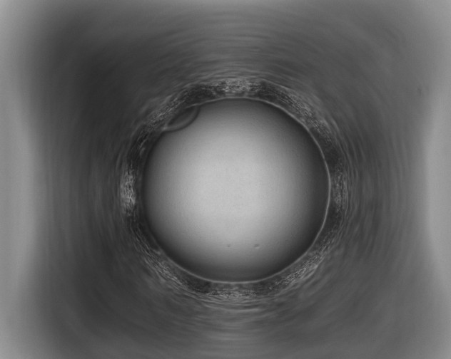 X0000116450962200912081615