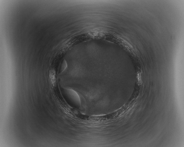 X0000116450963200912081615