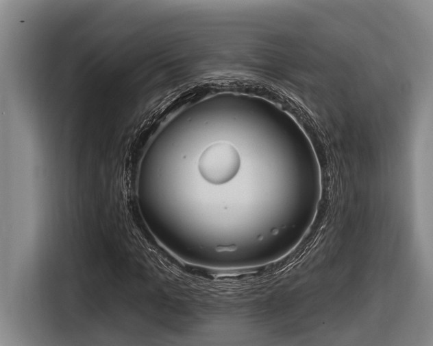 X0000116450965200912081615
