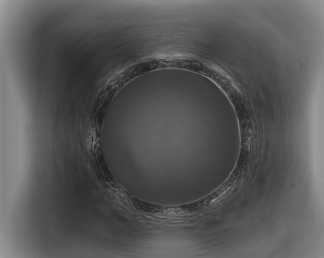 X0000116450966200912081615
