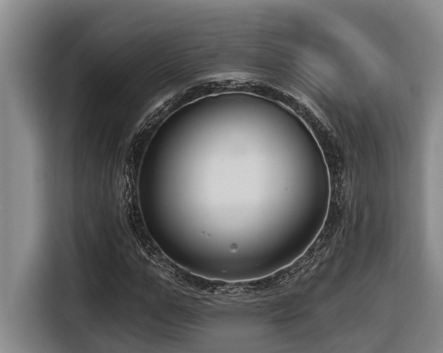 X0000116450967200912081615