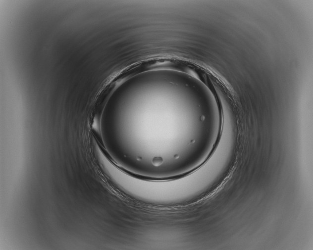 X0000116450969200912081615