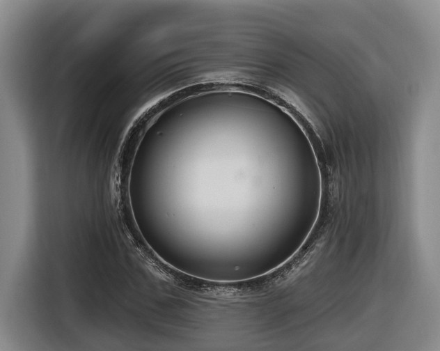 X0000116450971200912081615