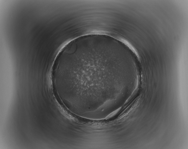 X0000116450972200912081615