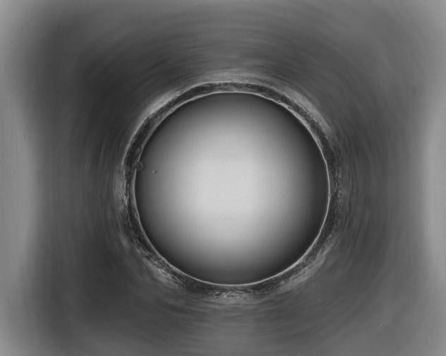 X0000116450974200912081615
