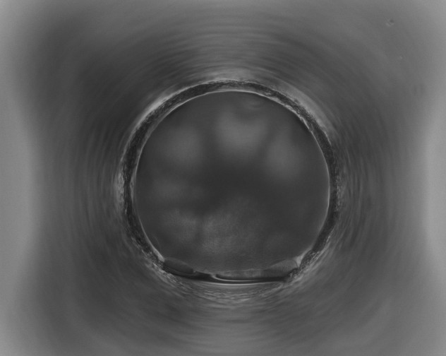 X0000116450975200912081615
