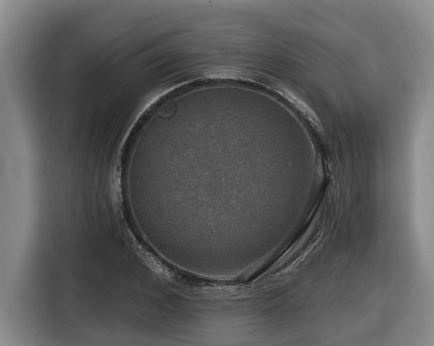 X0000116450976200912081615
