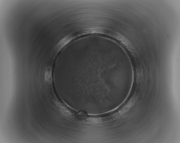 X0000116450977200912081615