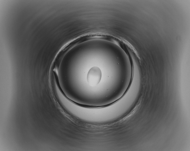 X0000116450981200912081614
