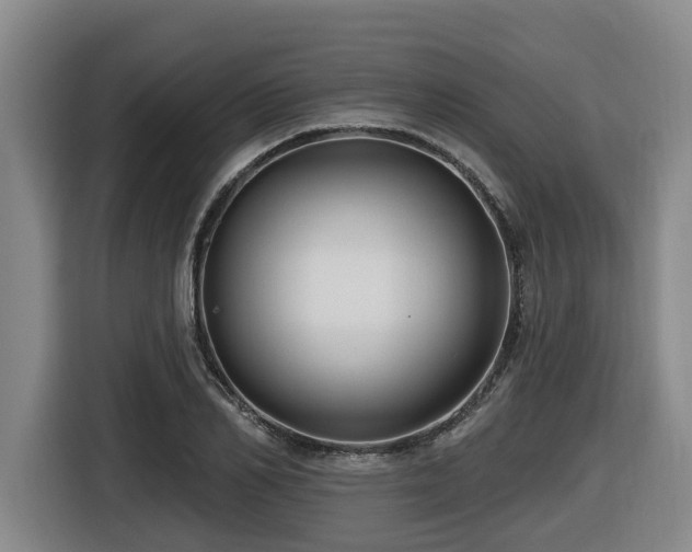 X0000116450982200912081614