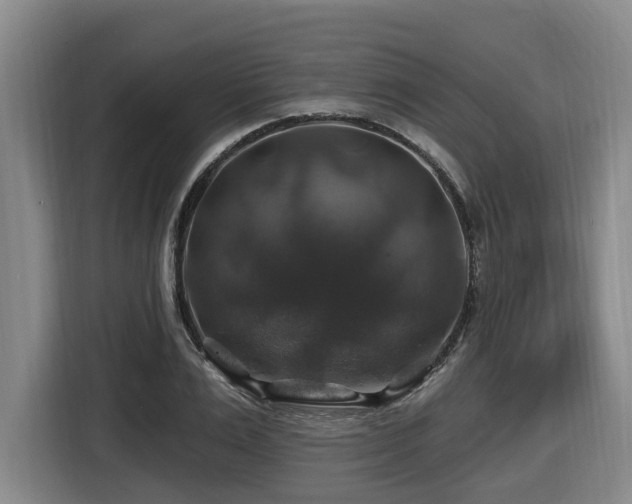 X0000116450983200912081614