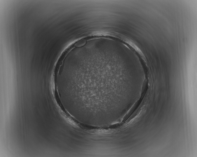 X0000116450984200912081614
