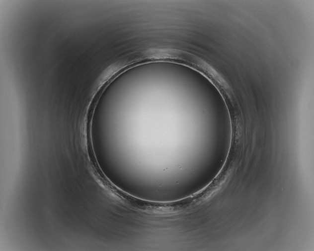 X0000116450986200912081614