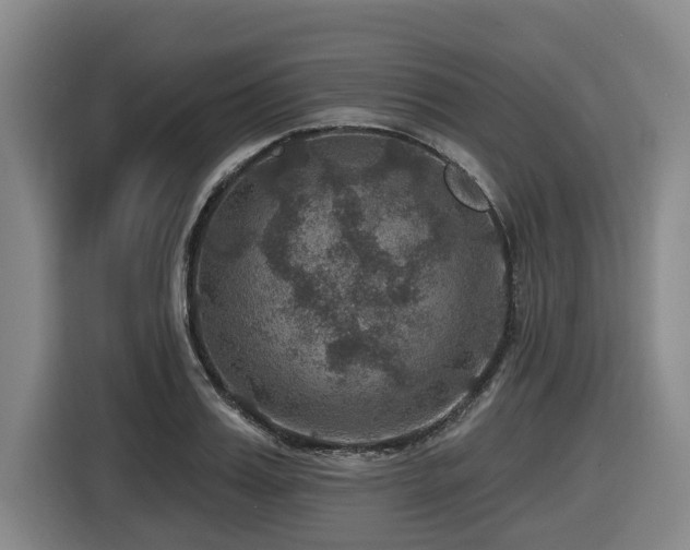 X0000116450987200912081614