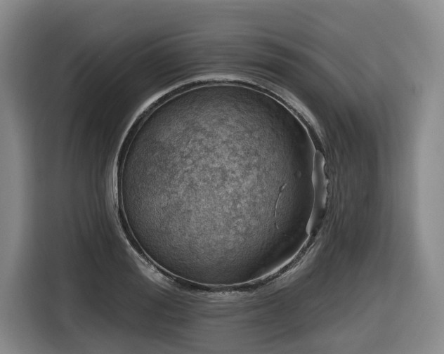 X0000116450988200912081614