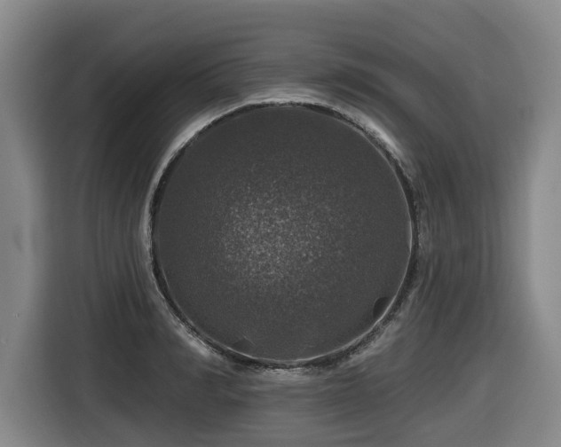 X0000116450990200912081614