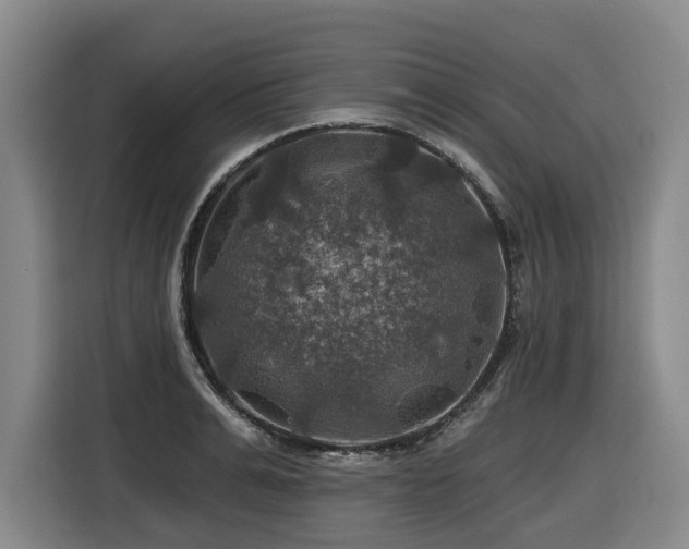 X0000116450991200912081614