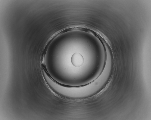 X0000116450993200912081614