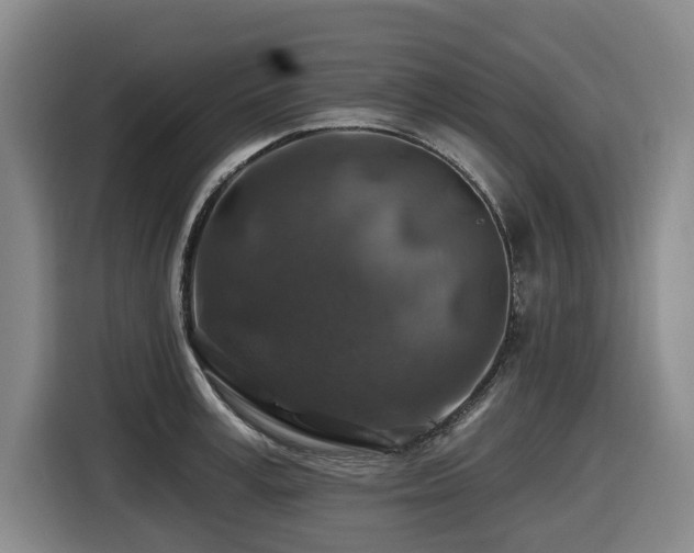 X0000116450995200912081614