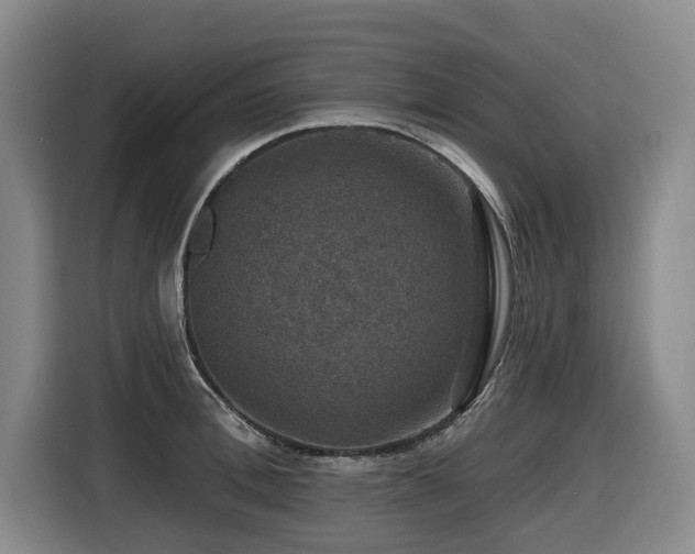 X0000116450996200912081614