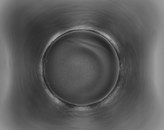 X0000116450998200912081614