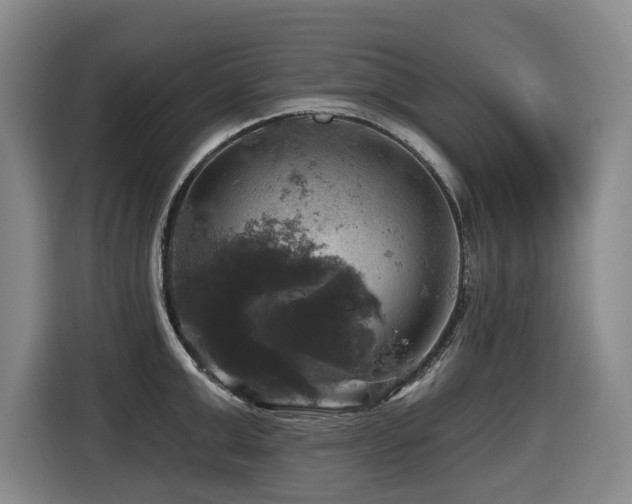 X0000116450999200912081614