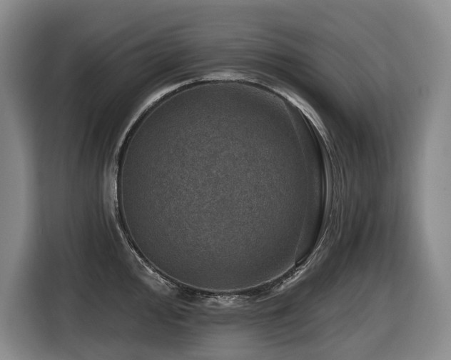 X0000116451000200912081614