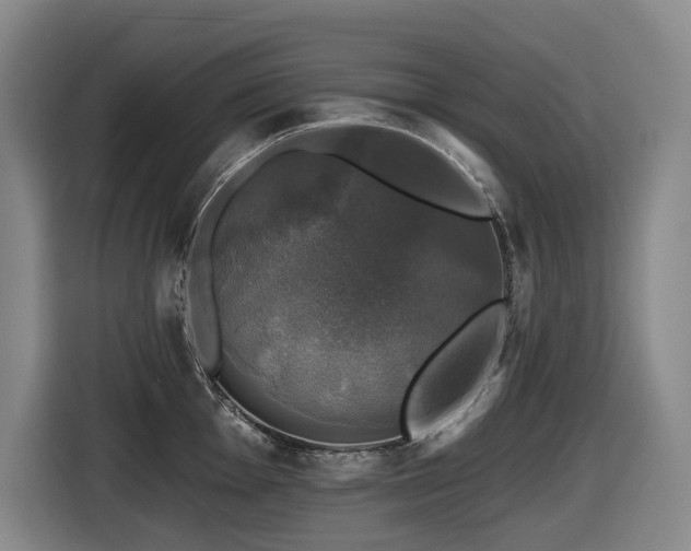 X0000116451001200912081614
