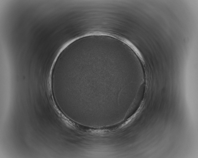 X0000116451004200912081614