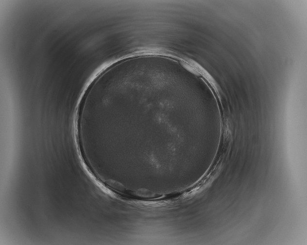 X0000116451005200912081614