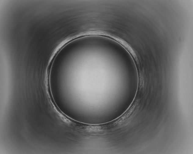 X0000116451006200912081614