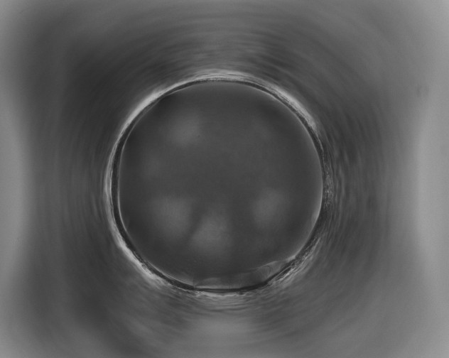 X0000116451007200912081614