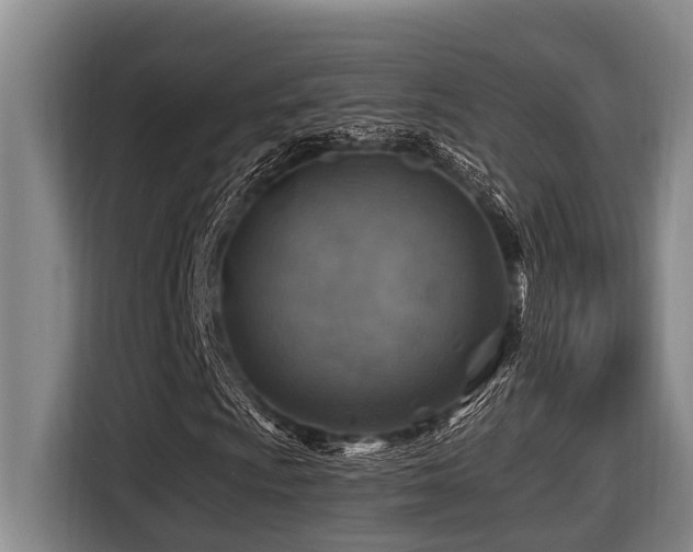 X0000116451009200912081613