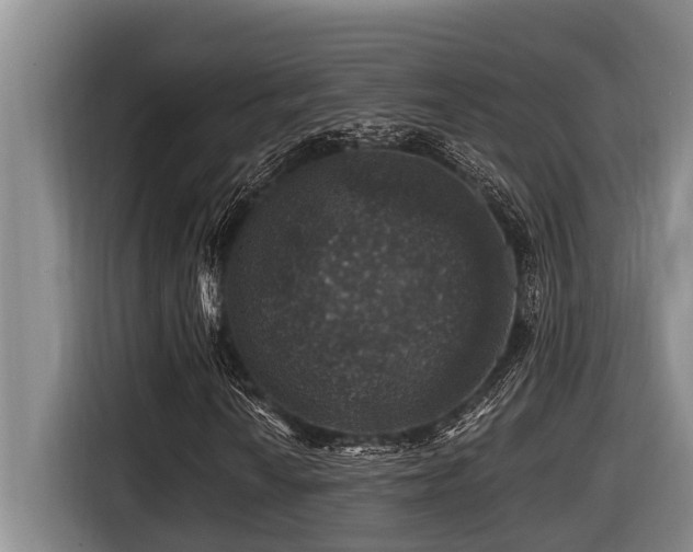 X0000116451010200912081613