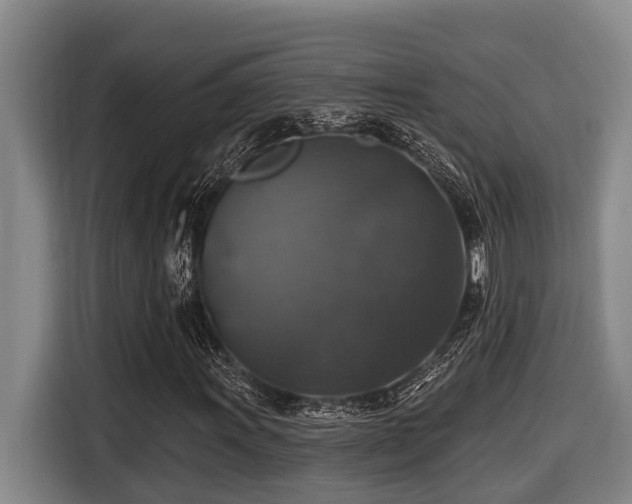 X0000116451011200912081613