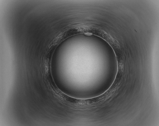 X0000116451012200912081613