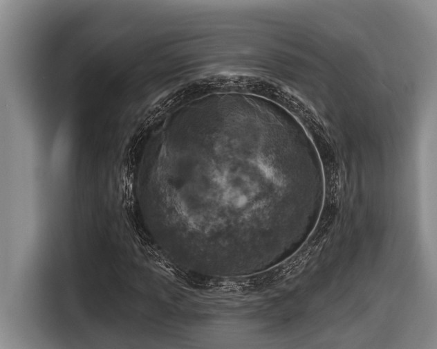 X0000116451013200912081613