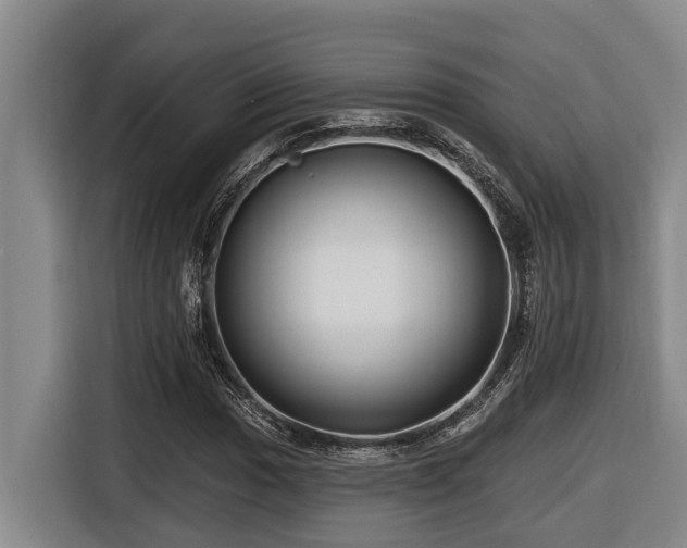 X0000116451017200912081613