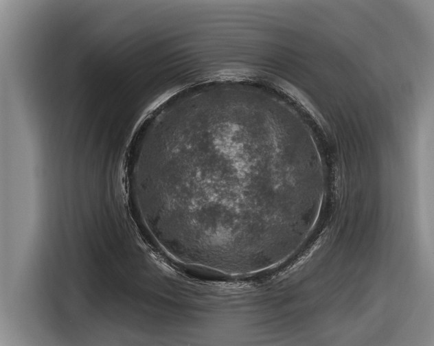 X0000116451018200912081613